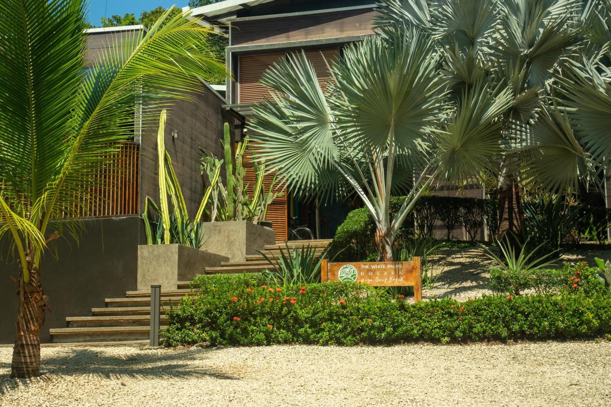 Playa Guiones The White Palms Of Nosara酒店 外观 照片